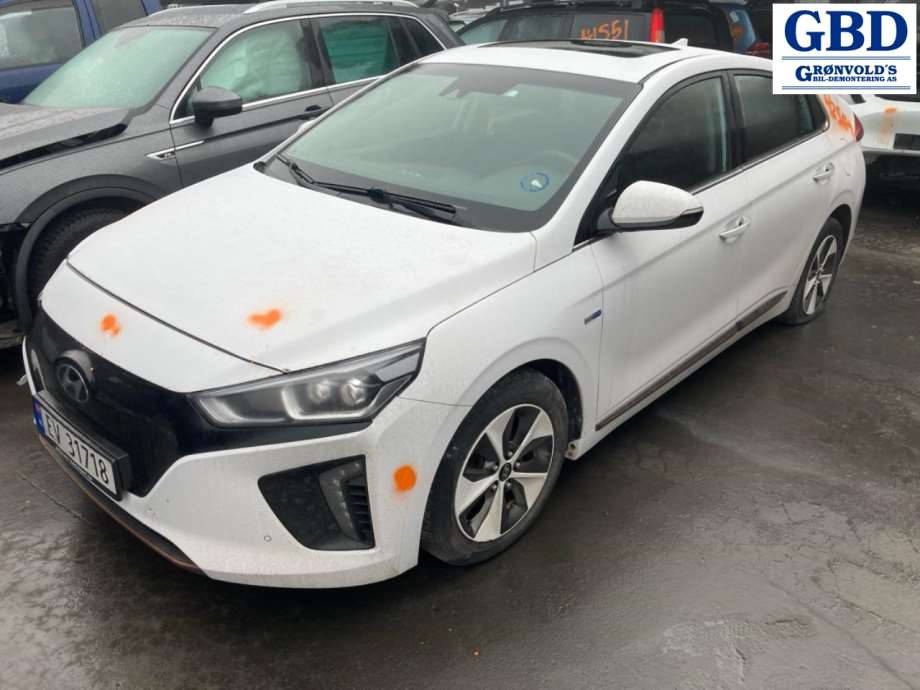 Hyundai Ioniq Electric, 2016-2019 (Fase 1)(|66311G 2000)