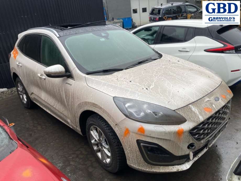 Ford Kuga, 2019- (Type III)(|2696786)