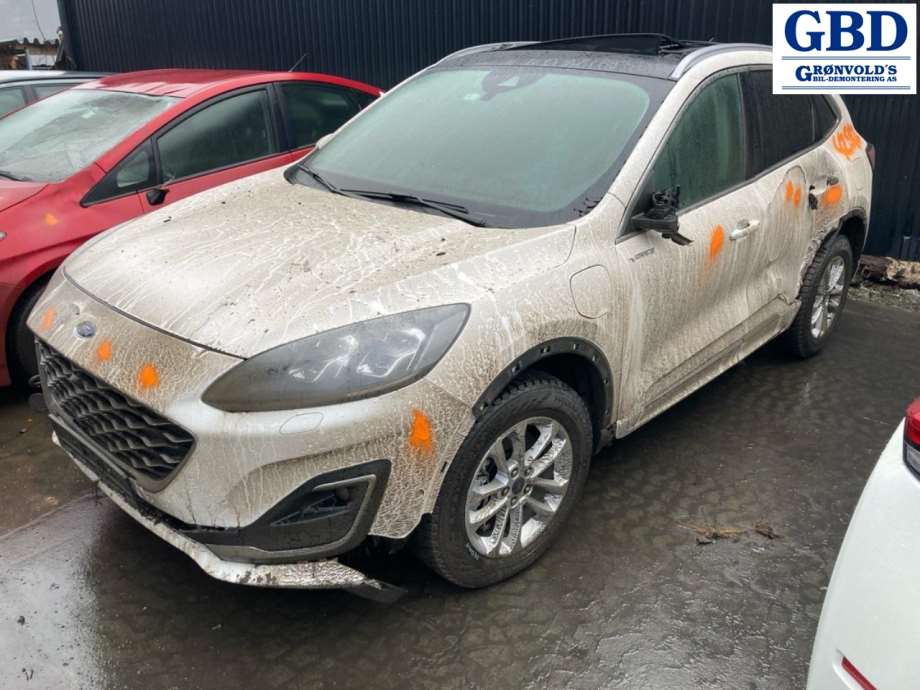 Ford Kuga, 2019- (Type III) (2696786|LV4B-1405-BF)