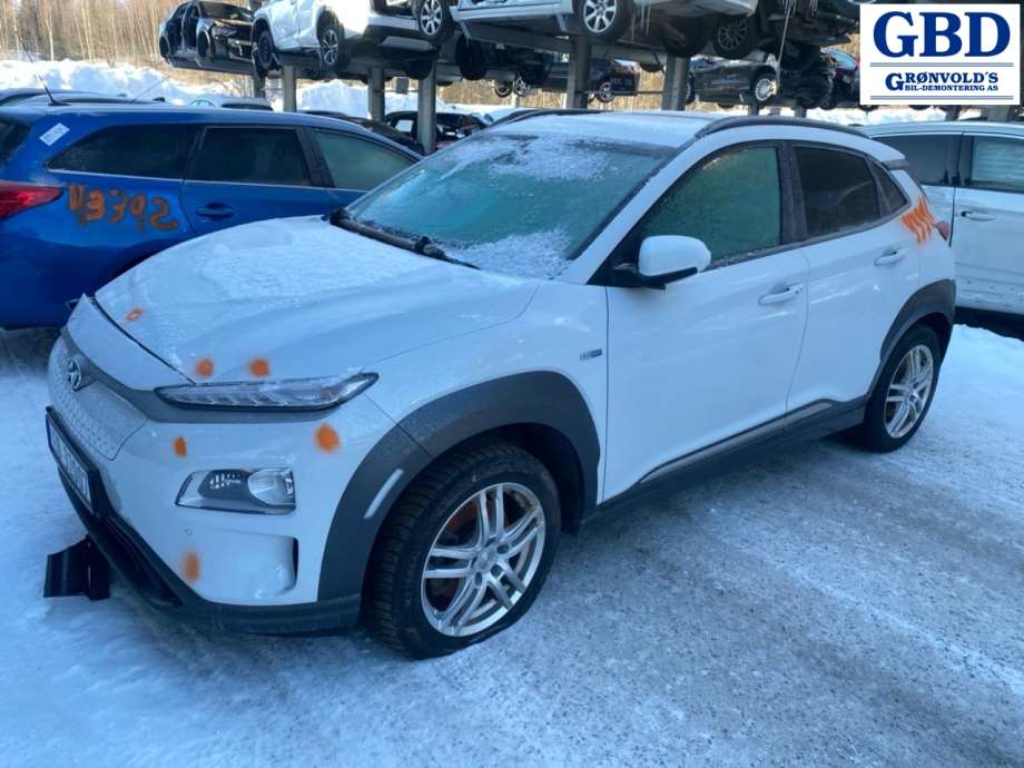 Hyundai Kona, 2017-2021 (Type I, Fase 1)(|365000E720)