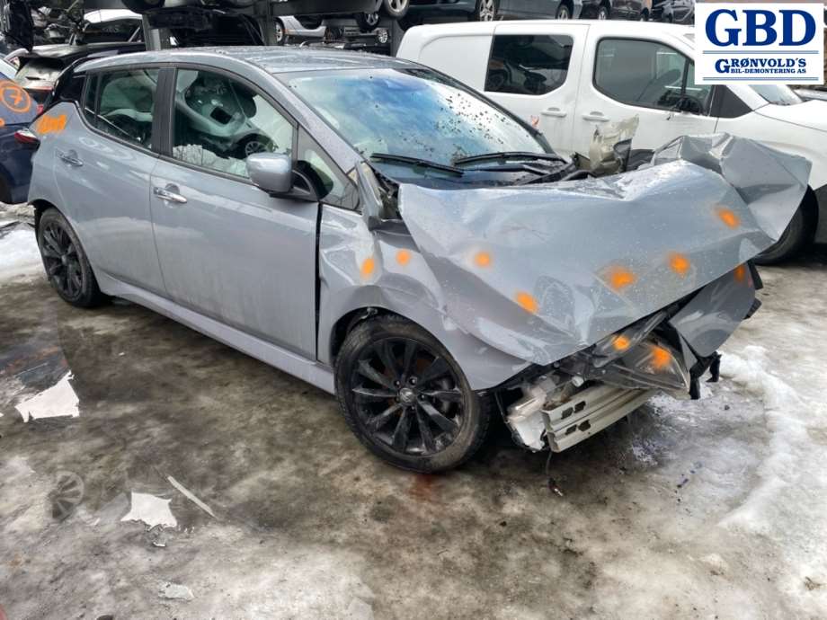 Nissan Leaf, 2018- (Type II) (265555SH1C|265555SH1A)