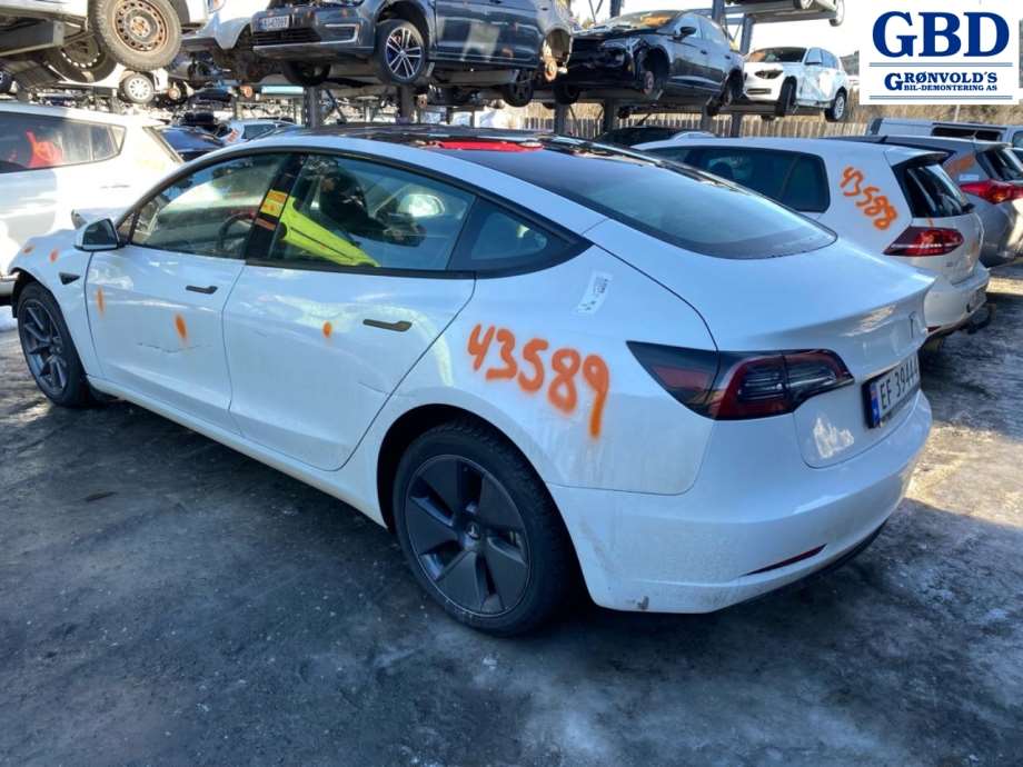 Tesla Model 3, 2018-2023 (Fase 1)(|1081441-EC-C)