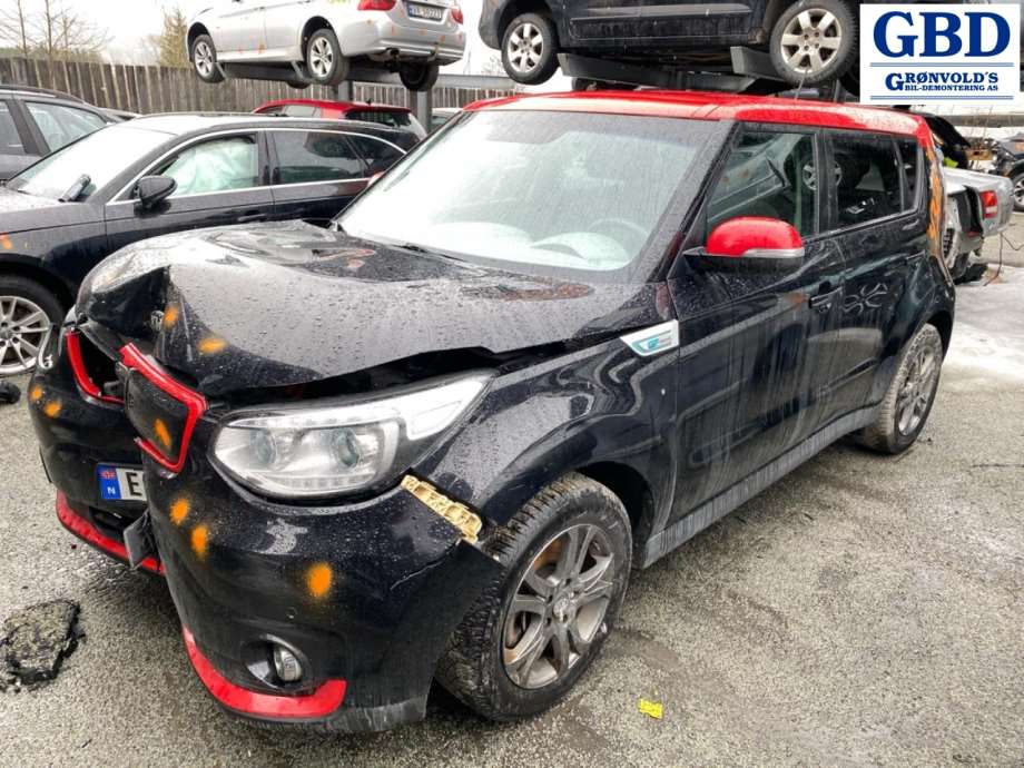 Kia Soul, 2014-2019 (Type II) (92401E 4020)