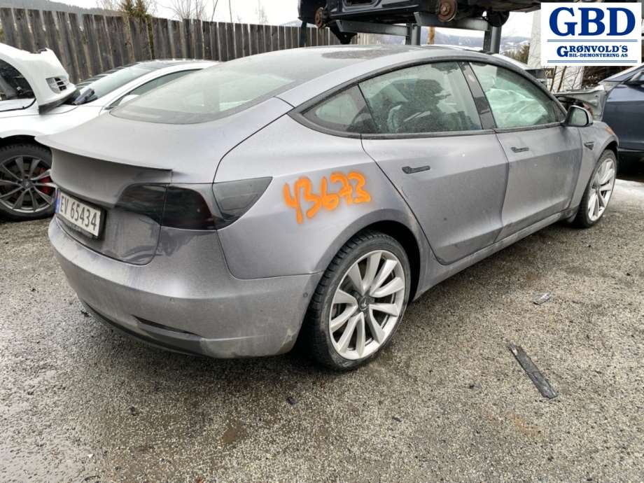 Tesla Model 3, 2018-2023 (Fase 1) (1081441-E0-C|1081441-EC-C)