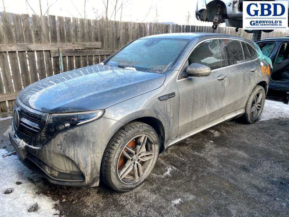 Mercedes EQC, 2019- (A 293 810 00 01)