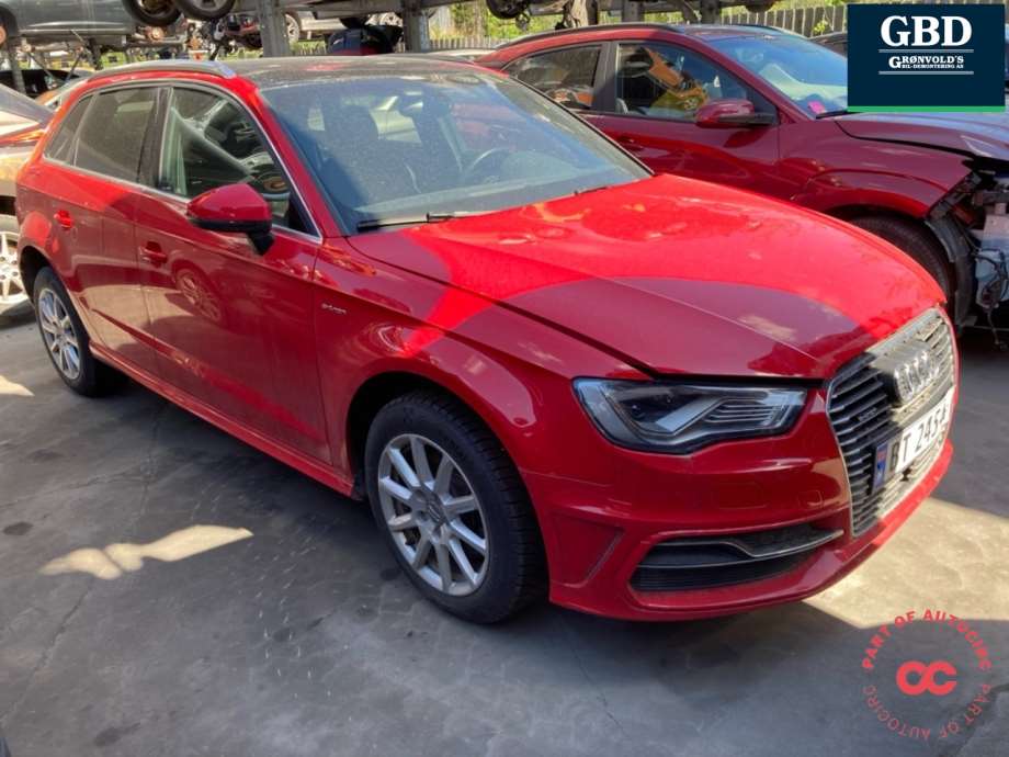 Audi A3, 2012-2016 (Type III, Fase 1) (RNT|0DD 300 040|0DD 300 040  X)
