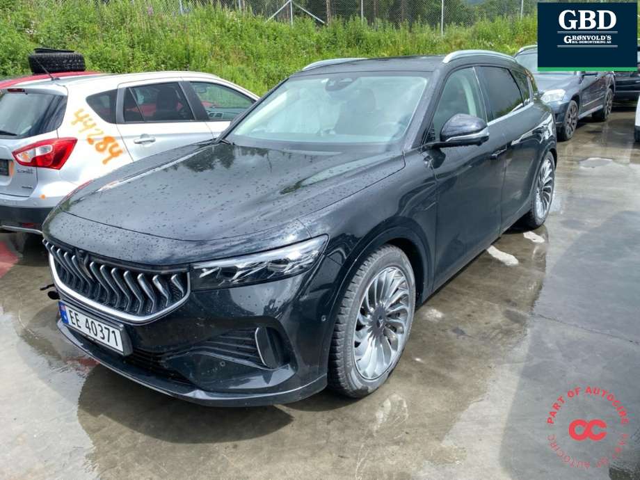 Voyah Free 2021-->> , Motorkode: TZ200XSP10|TZ220XSP01, Girkassekode: 