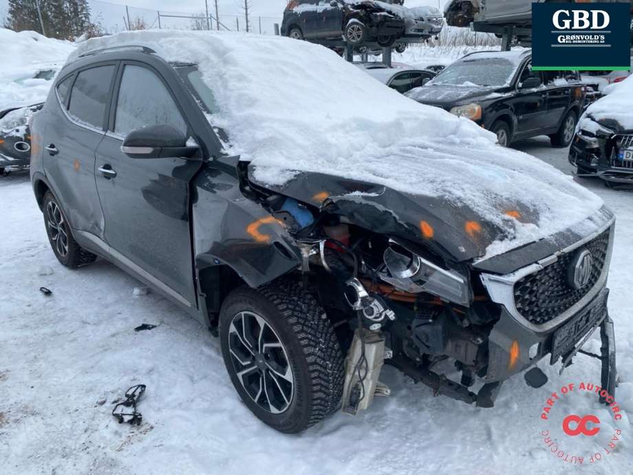 MG ZS EV, 2019-2021 (Type I, Fase 1)  delebil , Motorkode: TZ204XS1481