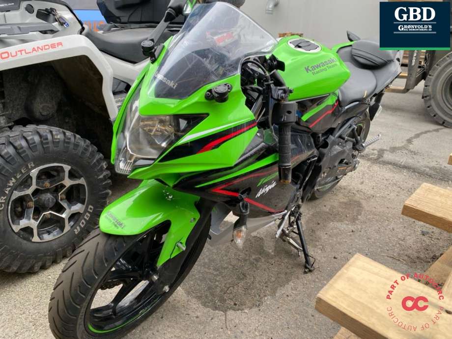 MC Kawasaki Ninja 125, 2019->>  delebil , Motorkode: BX125AE