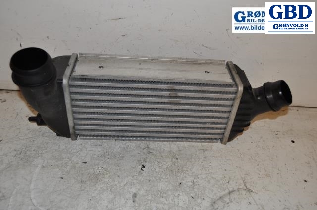 Fiat Scudo, 2007-2017 (Type II) (1440010980)