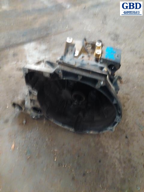 Ford Fiesta, 2008-2012 (Type VI, Fase 1)(|PAA6R-7002-CBE)