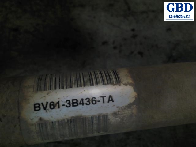 Ford Focus, 2011-2014 (Type III, Fase 1) (BV61-3B436-TA)