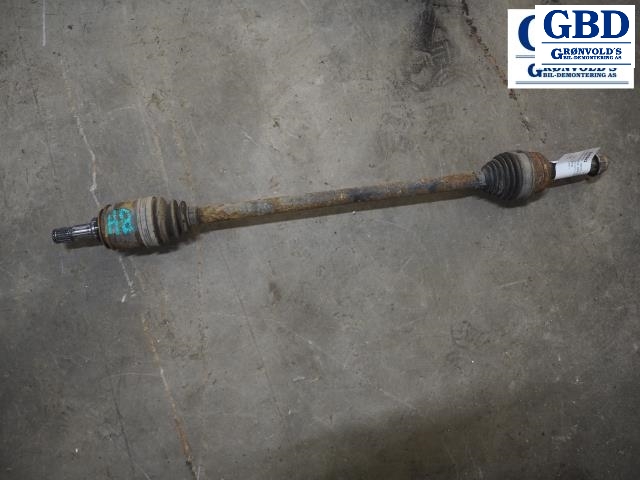 Toyota RAV4, 2006-2009 (Type III, Fase 1)(|4233042050)