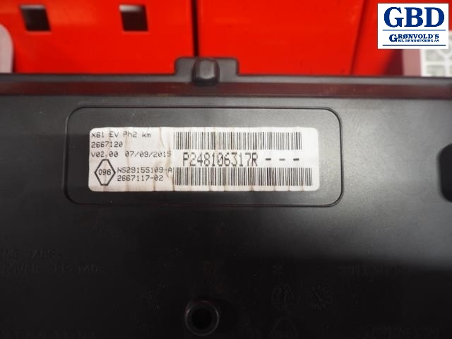 Renault Kangoo, 2008-2021 (Type II) (248106317R)