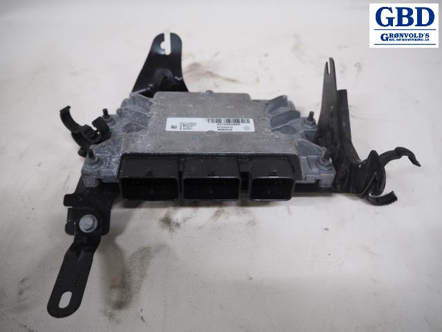 Renault Zoe, 2013-2019 (Fase 1) (237D40289R|237D40054R)