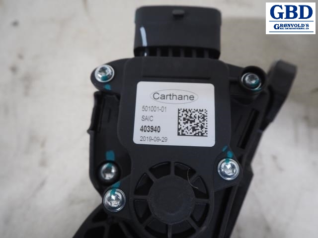 MG ZS EV, 2019- (CARTHANE|403940|501001-01)