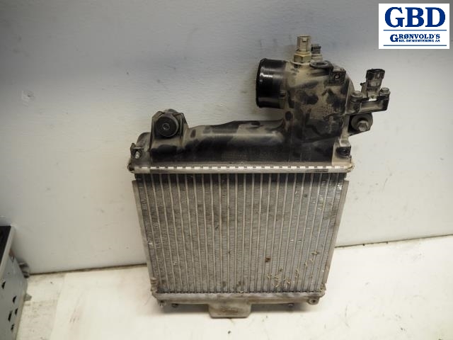 Toyota Hilux, 2006-2011 (TOYOTA|179400L030|TG127000-0741)