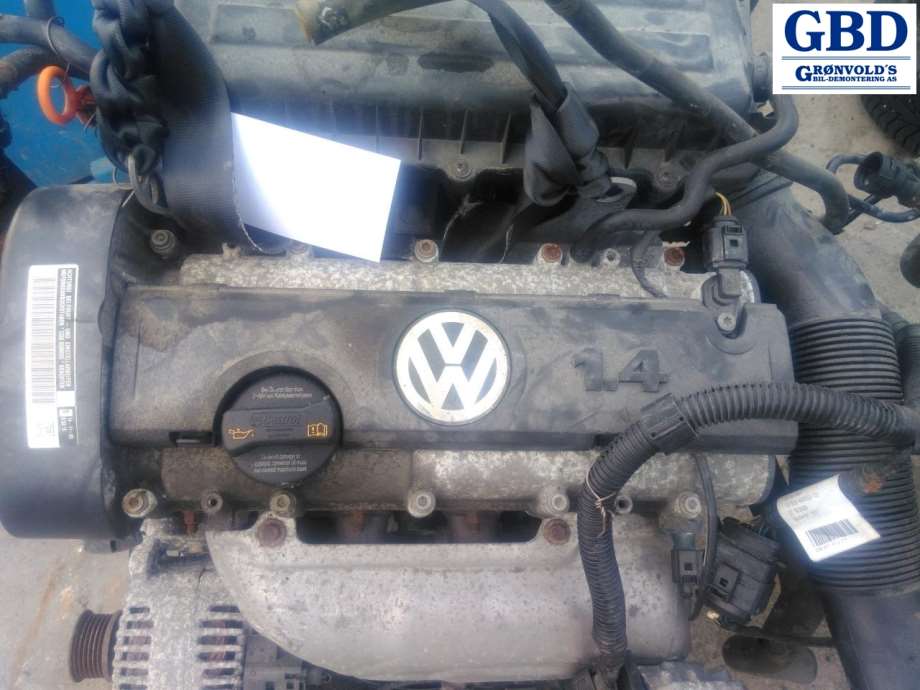 VW Polo, 2009-2014 (Type V, Fase 1) (CGGB )