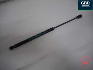 Panserdemper til Ford Mustang Mach-e,   (FORD|2508753|LJ8B-R16C826-AB)