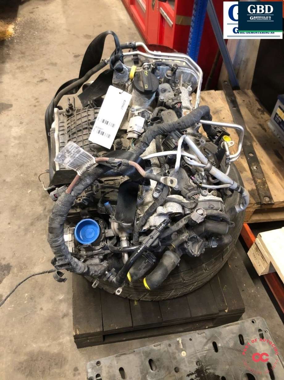 VW Passat, 2019- (B8, Fase 2) (DGEB|04E 100 038 G|04E 100 038 GX)