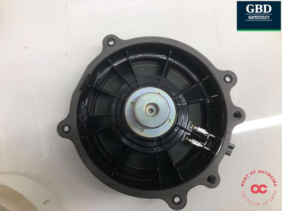 Bilstereo høyttaler til Tesla Model Y 2021-2024 (Type I)  (NO PART ID|)