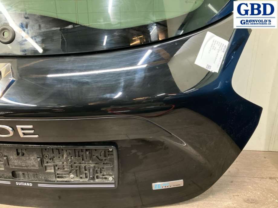 Renault Zoe, 2013-2019 (Fase 1) (901003877R)