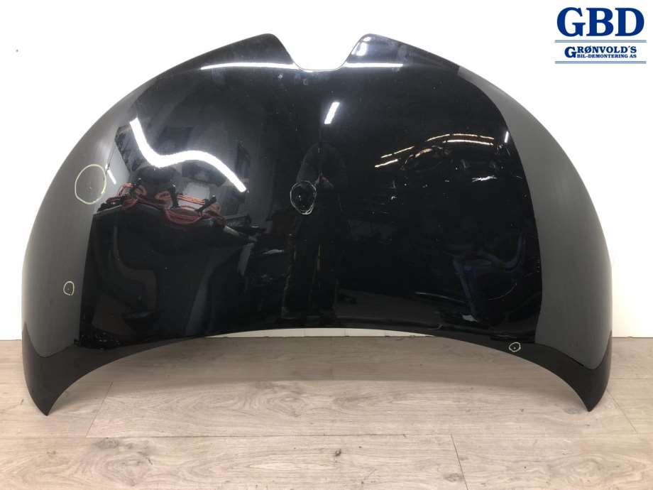 Renault Zoe, 2013-2019 (Fase 1)(|651004516R)