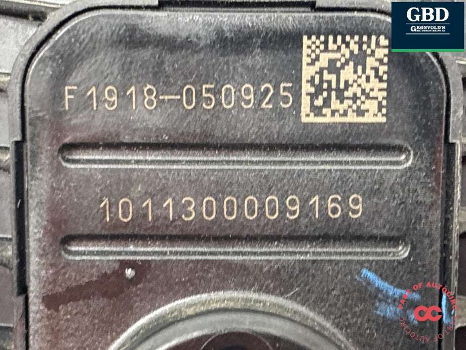 Pedal gass til Peugeot 5008 2017-->> (Type II)  (96 748 291 80|f1918-050925|10113000009169)