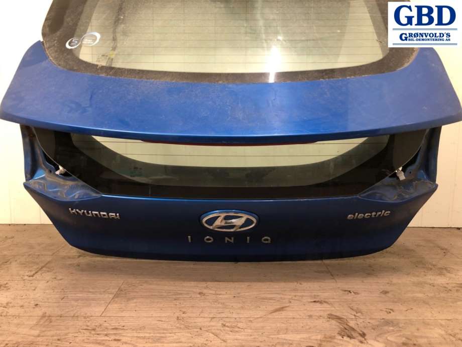 Hyundai Ioniq Electric, 2016-2019 (Fase 1) (73700G 2000)