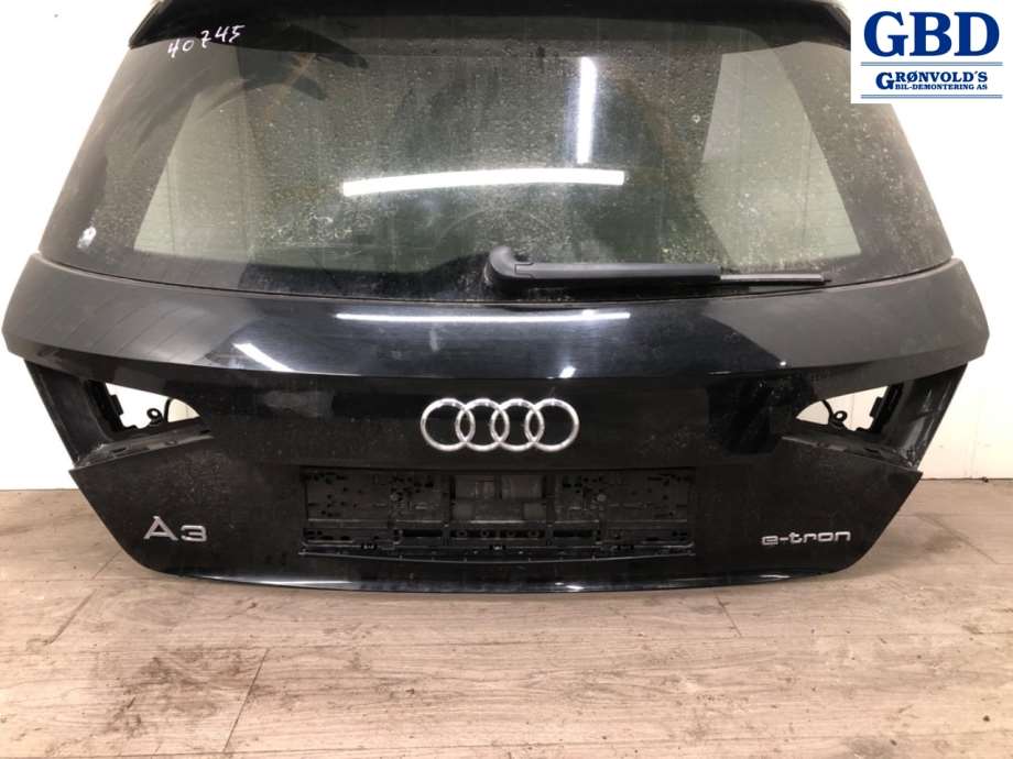 Audi A3, 2016-2020 (Type III, Fase 2) (8V4 827 025 D)