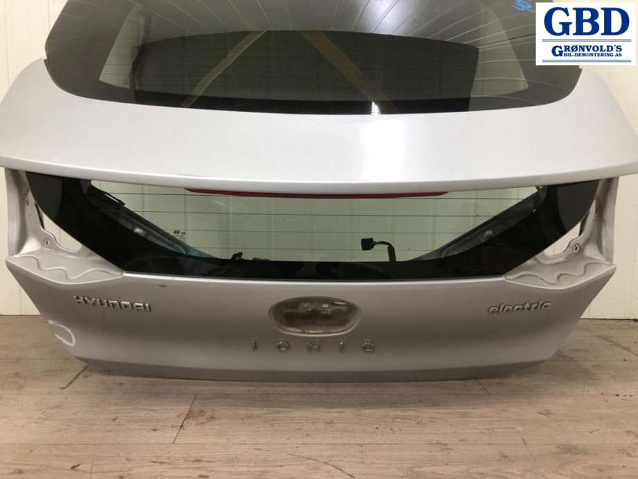 Hyundai Ioniq Electric, 2016-2019 (Fase 1) (73700G 2000)