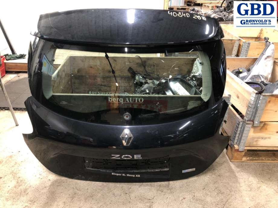 Renault Zoe, 2013-2019 (Fase 1)(|901003877R)