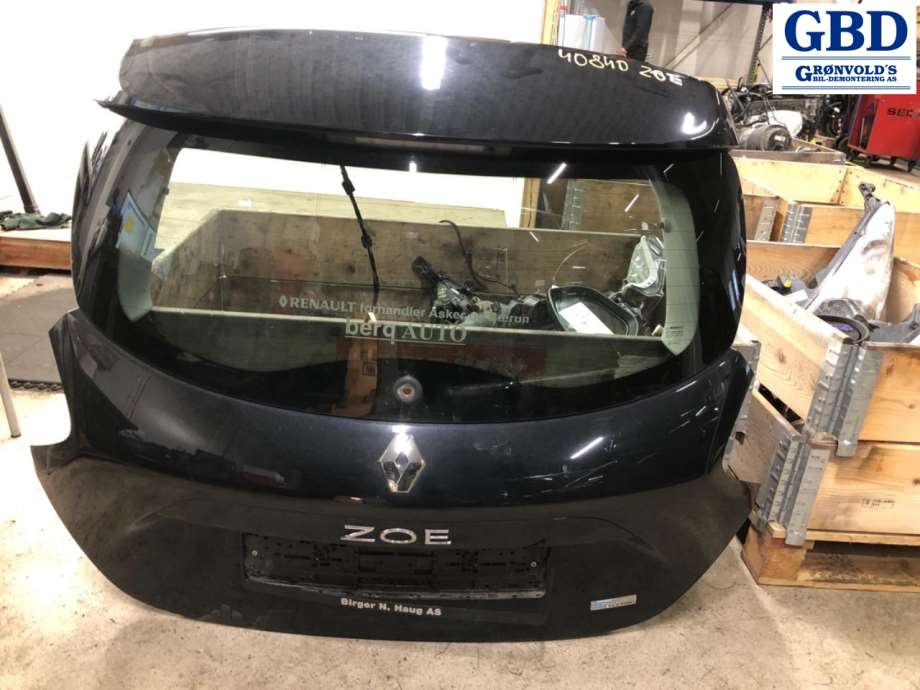 Renault Zoe, 2013-2019 (Fase 1) (901003877R)