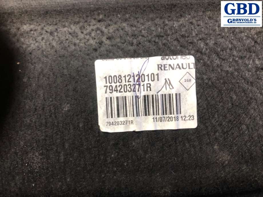 Renault Zoe, 2013-2019 (Fase 1) (794203271R|100812120101)