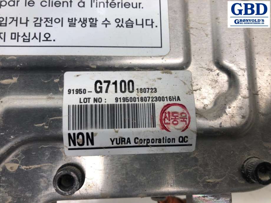 Hyundai Ioniq Electric, 2016-2019 (Fase 1) (91950-G7100|91950-G7100180723)