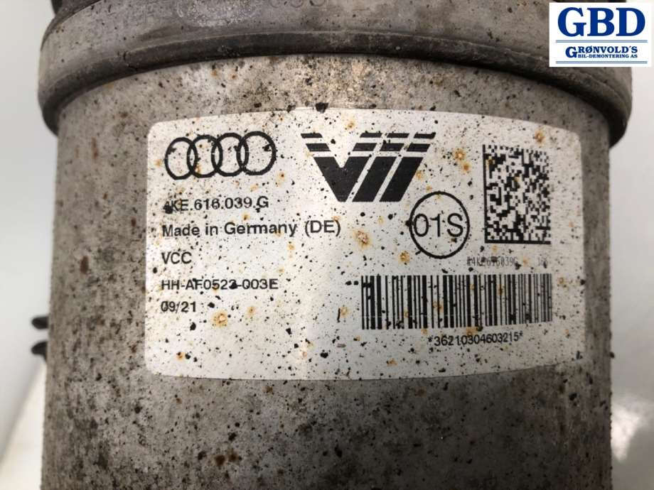 Audi e-tron, 2018- (4KE 616 039 G)