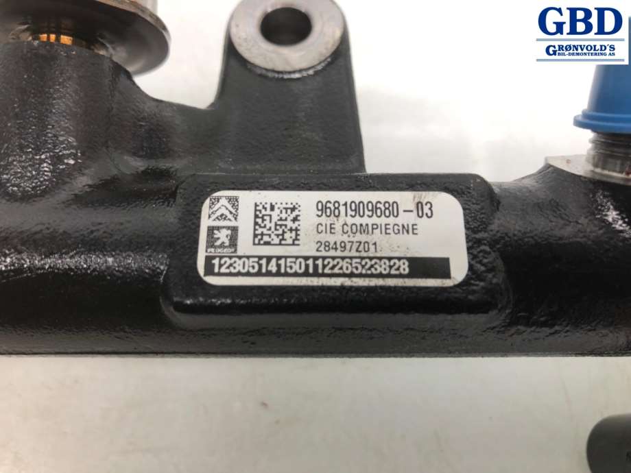 Ford Kuga, 2013-2019 (Type II) (1841279|9M5Q-9D280-AB|9681909680-03)