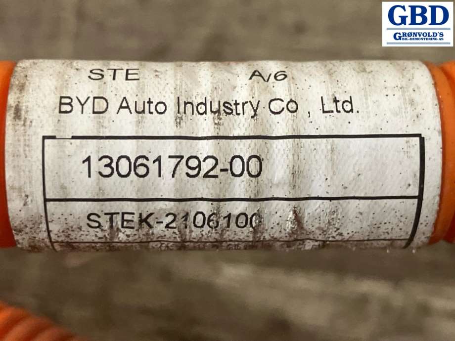 BYD Tang, 2020- (12375788-00|13243479-00)