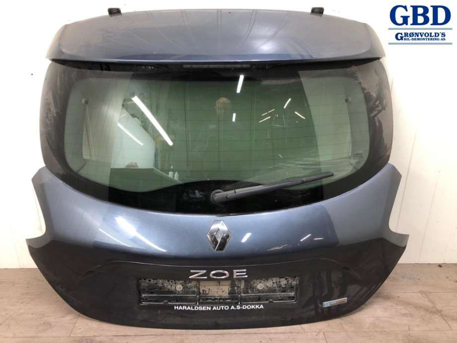 Renault Zoe, 2013-2019 (Fase 1)(|901003877R)