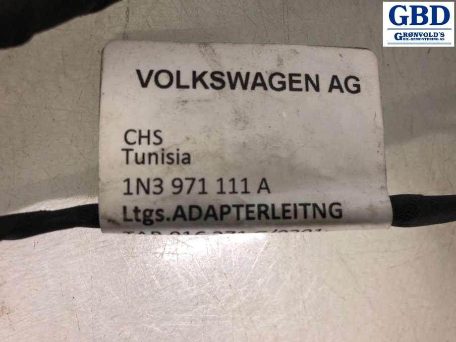 VW ID.BUZZ, 2022- (1N3 971 111 A)