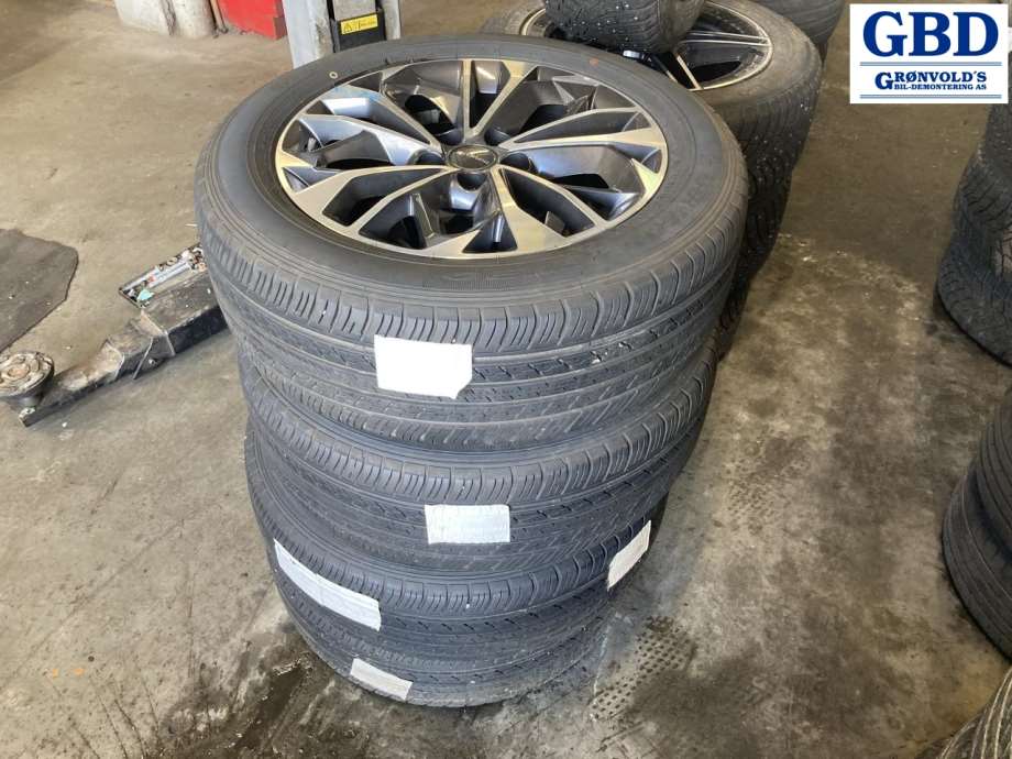 Maxus Euniq 6, 2019-2023(DUNLOP|235-55R18)