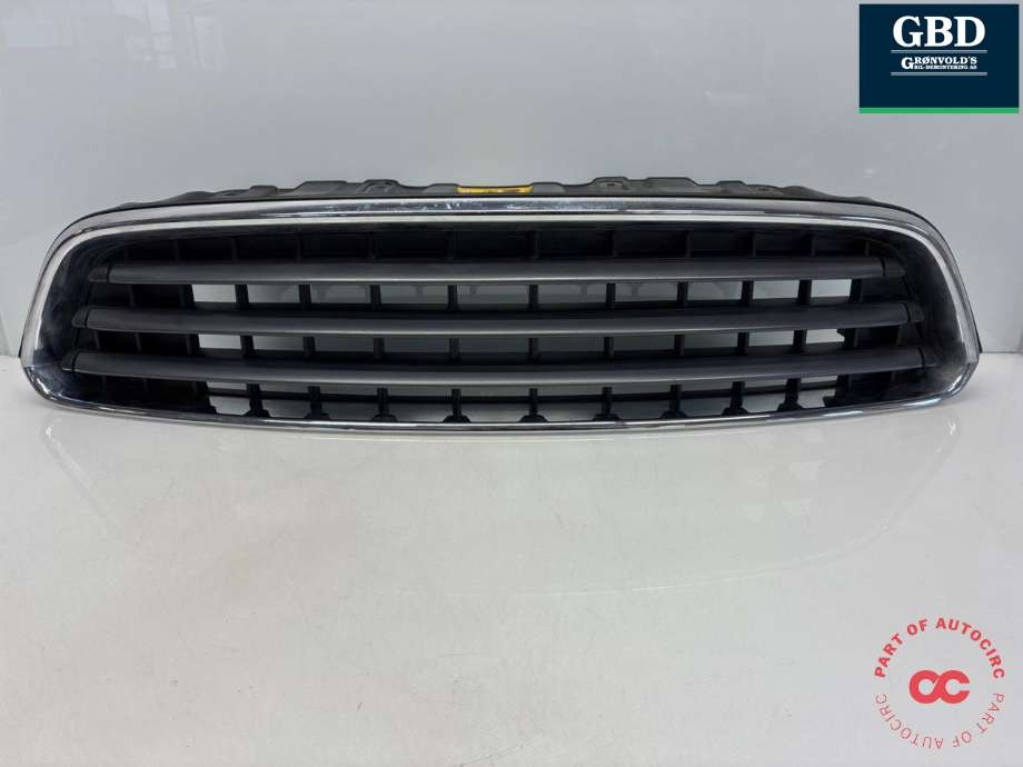 Grill til Mini Countryman 2010-2016 (R60) (R60) (51 13 9 801 582|224059-10|)
