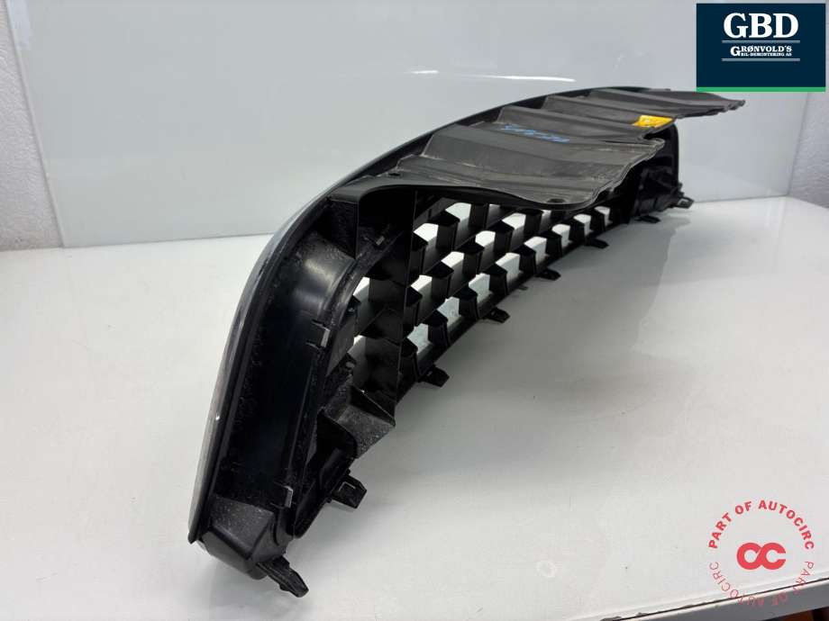 Grill til Mini Countryman 2010-2016 (R60) (R60) (51 13 9 801 582|224059-10|)