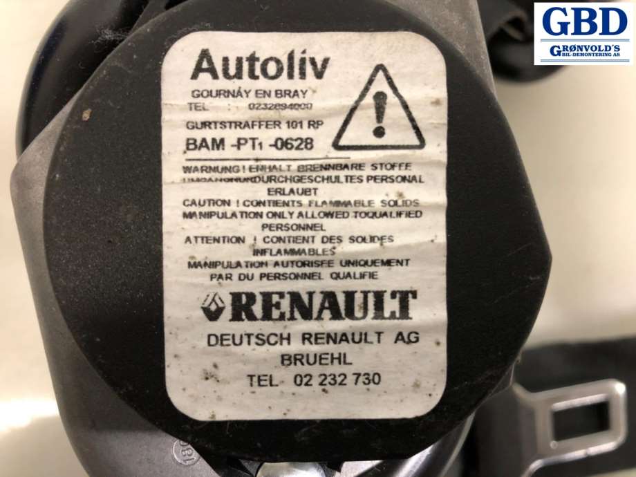 Renault Zoe, 2013-2019 (Fase 1) (868852607R|868855619R)