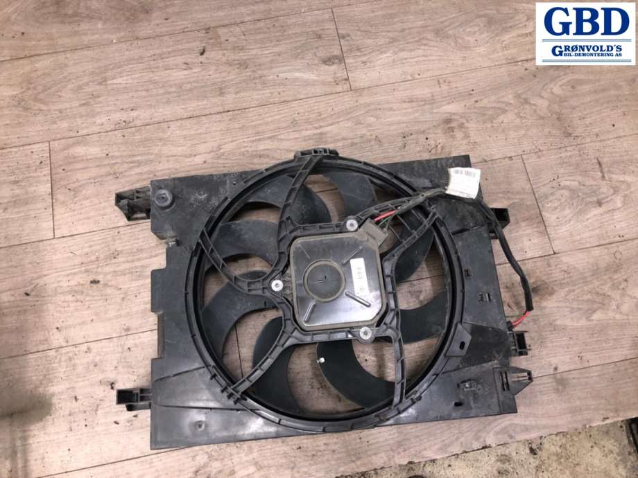 Renault Zoe, 2013-2019 (Fase 1) (214818864R|214758569R|5000976)