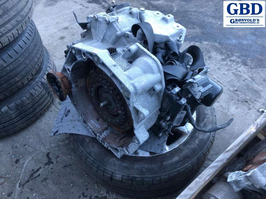 VW Golf, Plus/Cross, 2009-2013 (Fase 2) (PMS|0AM 300 060 D|0AM 300 060 DX)