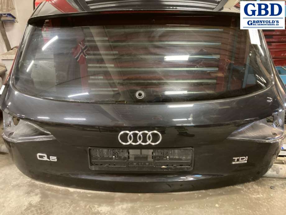 Audi Q5, 2008-2012 (Type I, Fase 1)