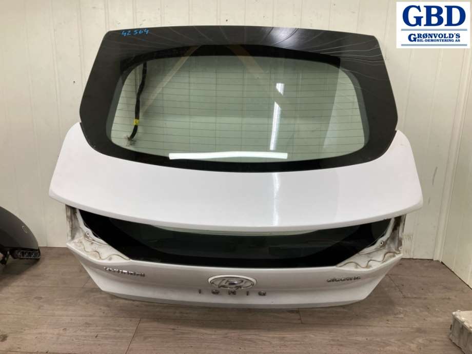 Hyundai Ioniq Electric, 2016-2019 (Fase 1)(|73700G 2000)