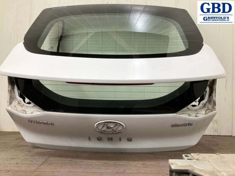 Hyundai Ioniq Electric, 2016-2019 (Fase 1) (73700G 2000)