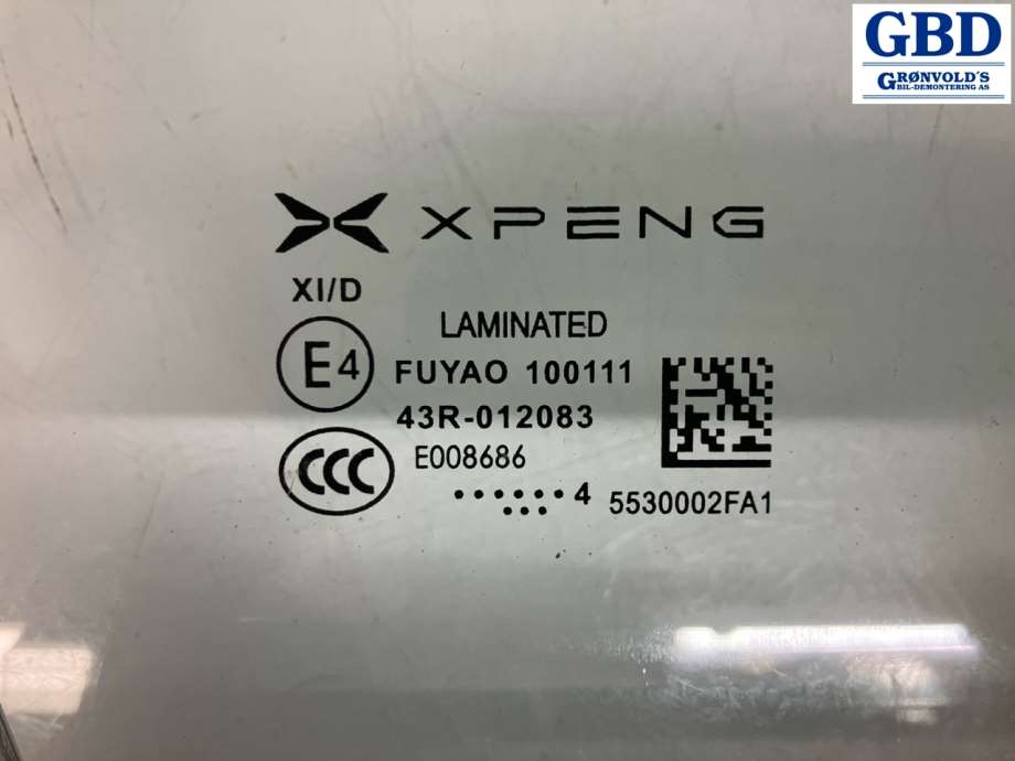 XPeng G6, 2023- (5530002EA1-00-02)